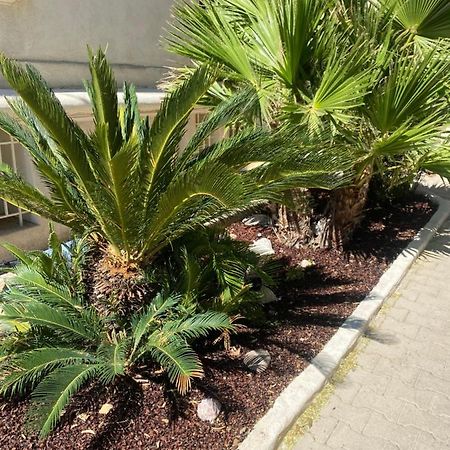 Casa Cacao Pres Plage Et Velodrome マルセイユ エクステリア 写真